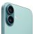 iPhone 16 Plus 256Gb teal (бирюзовый)